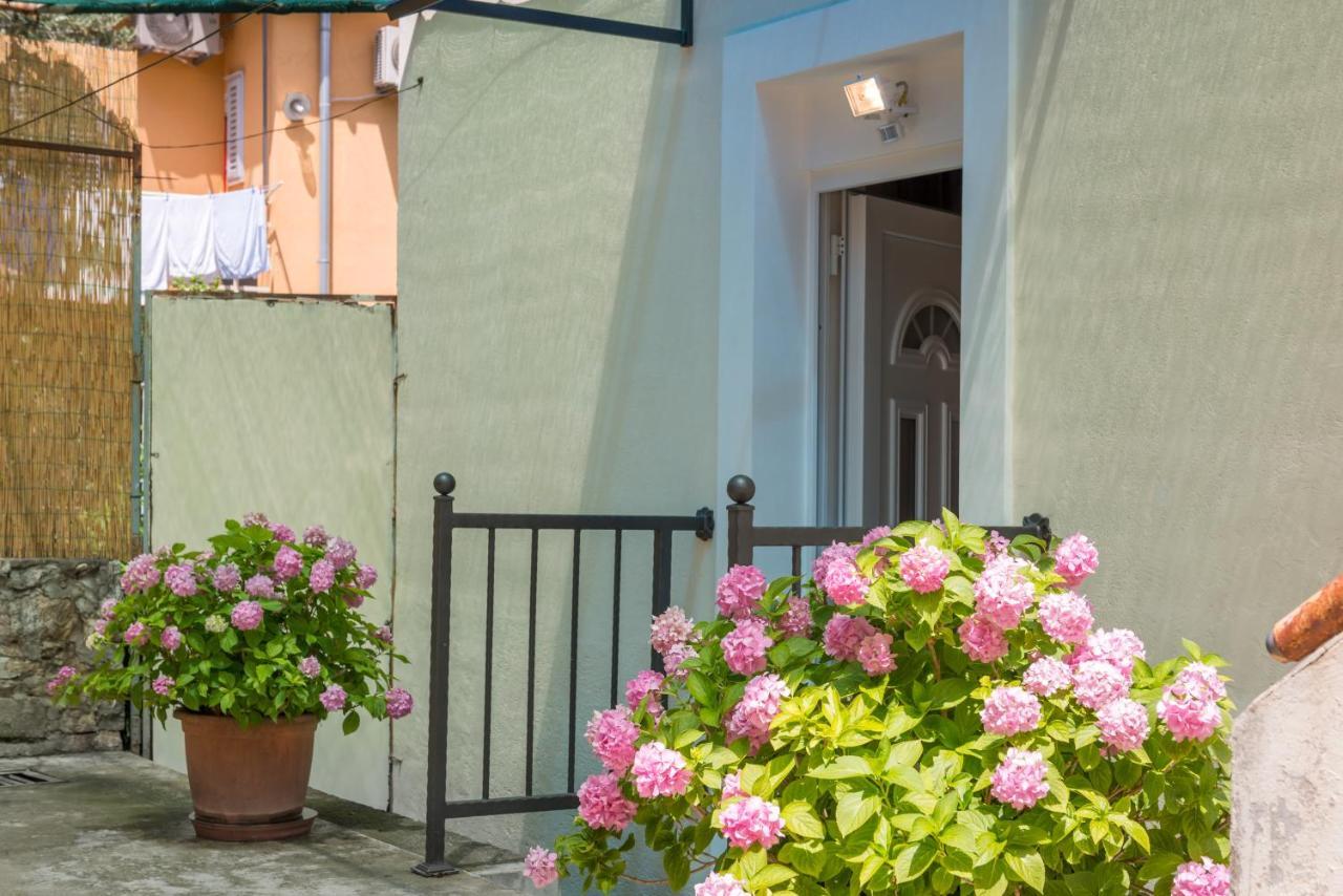 Petite Apartment Split Exterior photo